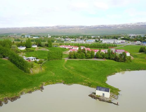 Iceland Reindeer Tour